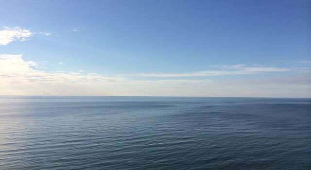 Гостевой дом Lavanda Светлогорск-27