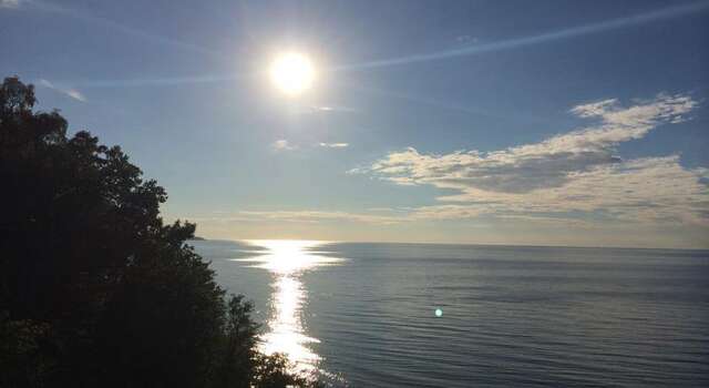 Гостевой дом Lavanda Светлогорск-26